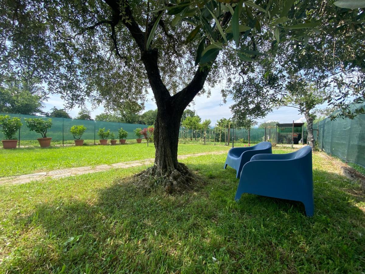 Villa Casa Marcobando à Lucques Extérieur photo