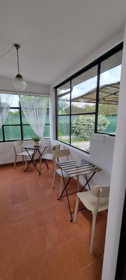 Villa Casa Marcobando à Lucques Extérieur photo